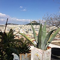Blumentöpfe im Vordergrund, im Hintergrund der Berg mit der Akropolis